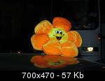 IL-IMG_2964