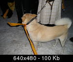 pb240032
