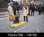 image_206884
