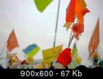 pl_svob_kharkov_21