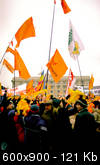 pl_svob_kharkov_28