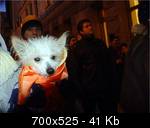 HA-DSC07465