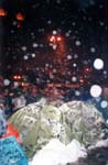 maidan044