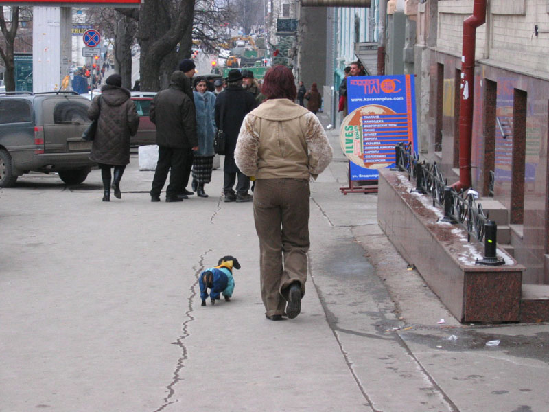 IMG_2025_4_1