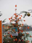 20-12-04-11