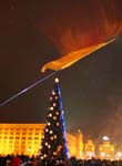 IMG_8266