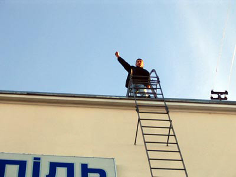 TERN-Picture-029