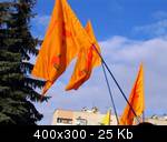 TERN-Picture-018