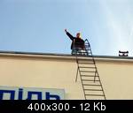 TERN-Picture-029