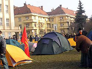 Picture20028