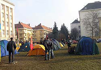 Picture20035